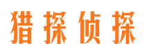 岭东市侦探公司